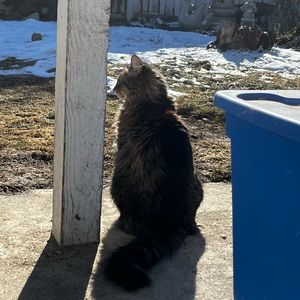 Meet your Posher, Georgia